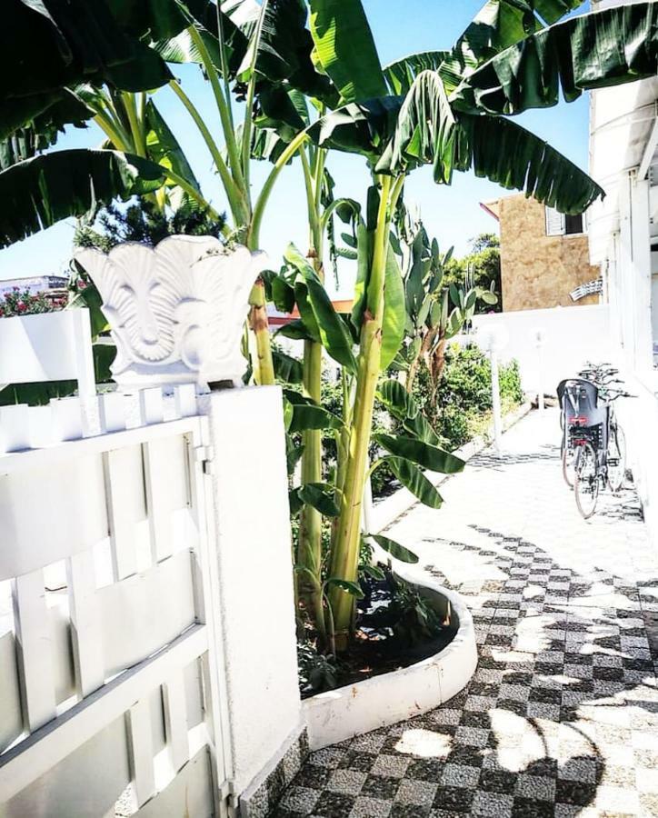 Casa Lu Salentu Ξενοδοχείο Torre Lapillo Εξωτερικό φωτογραφία
